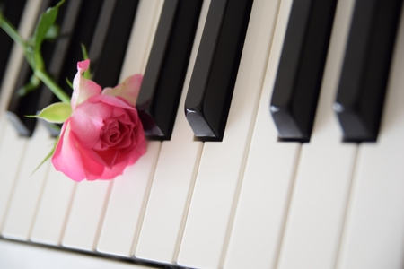 ピアノとバラ.jpg